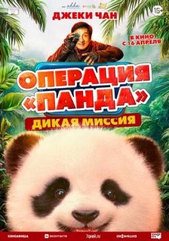 Операция «Панда». Дикая миссия